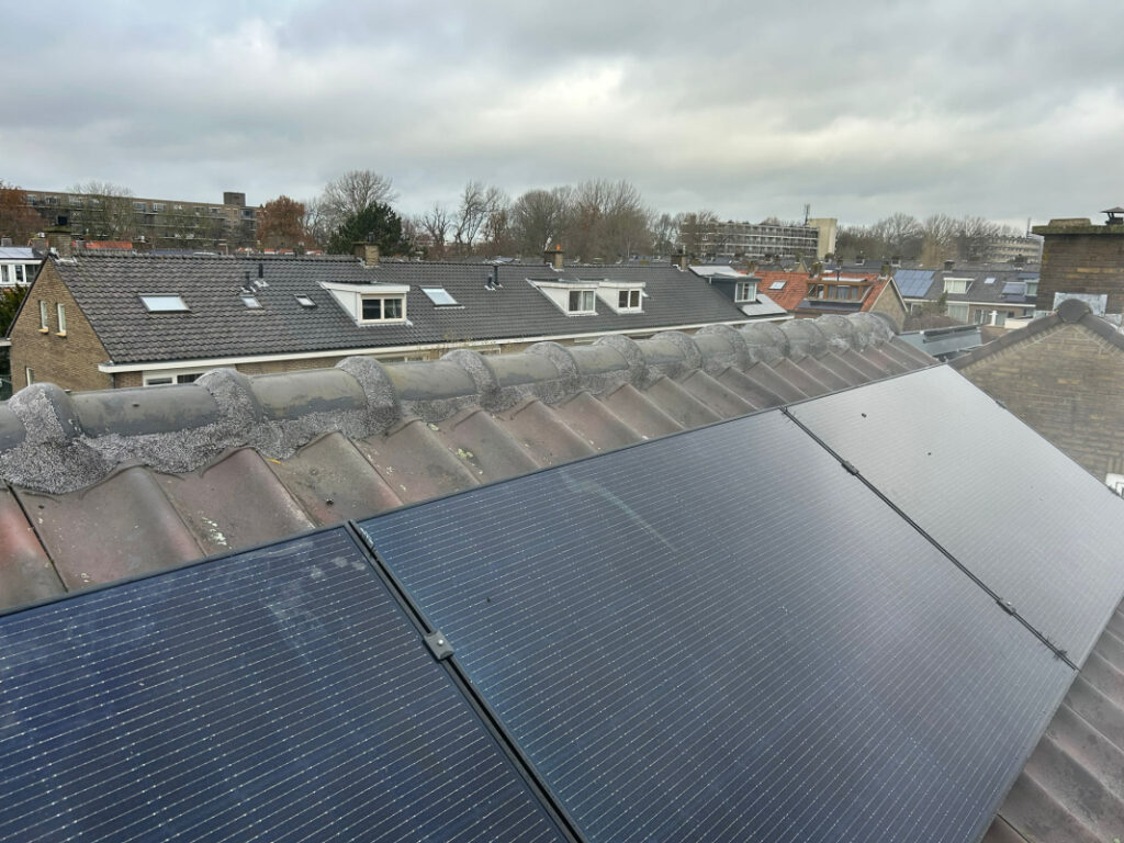 Nokvorst renovatie in Bleiswijk