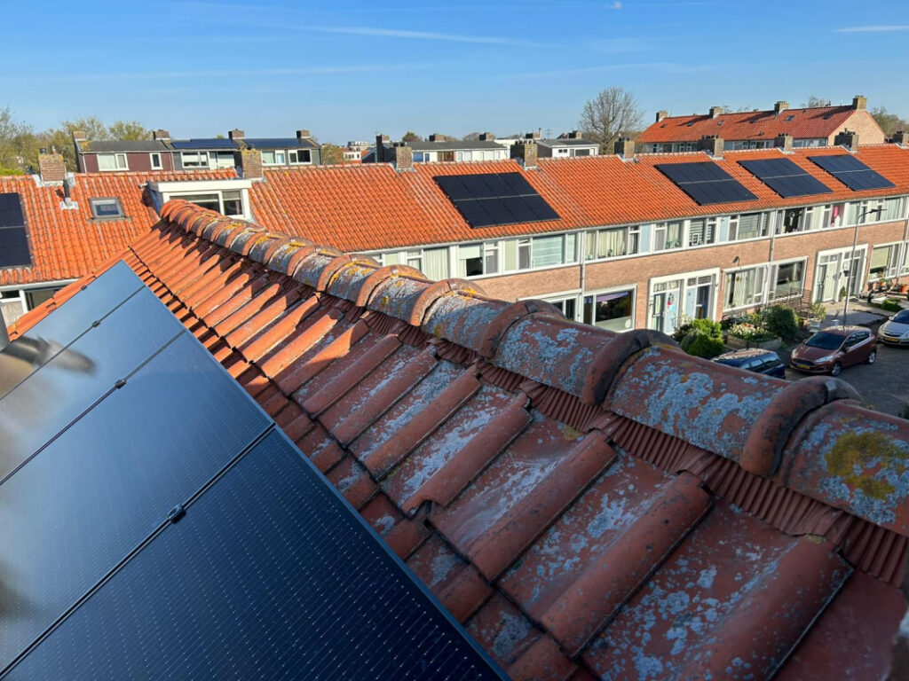 Nokvorst renovatie in Delft