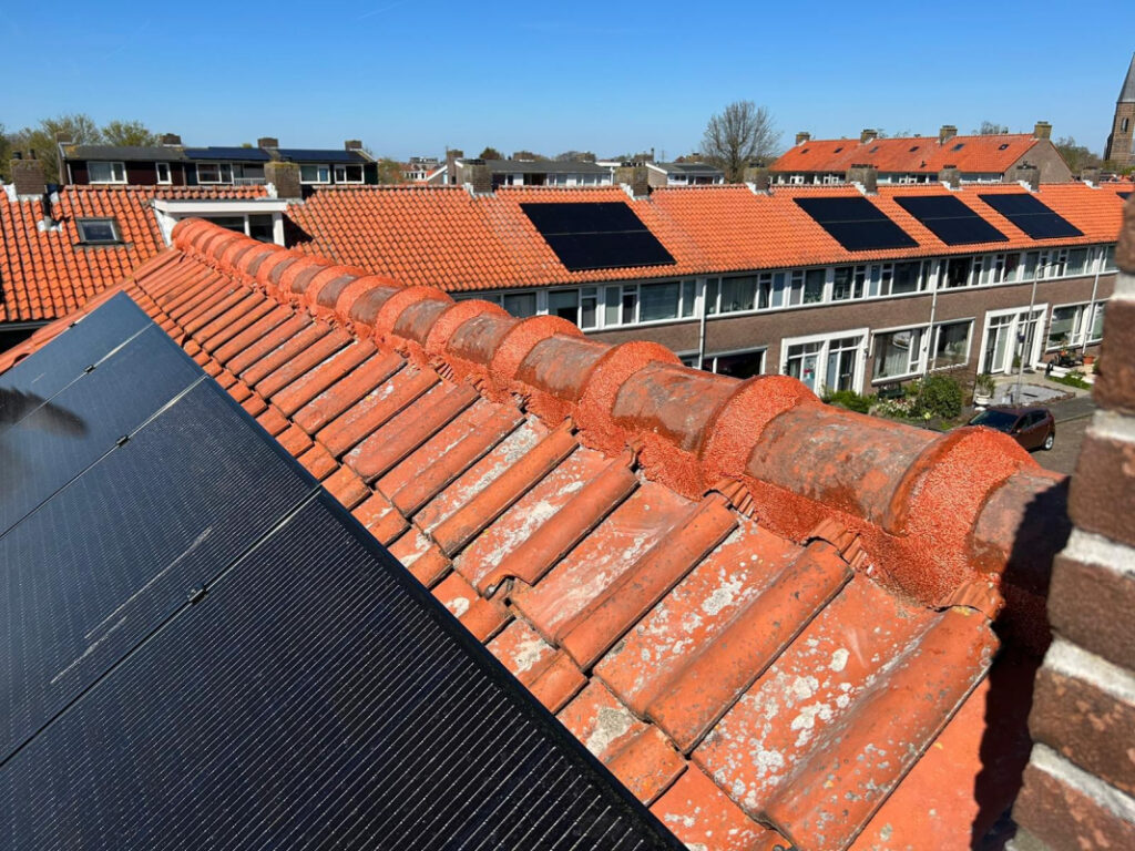 Nokvorst renovatie in Delft