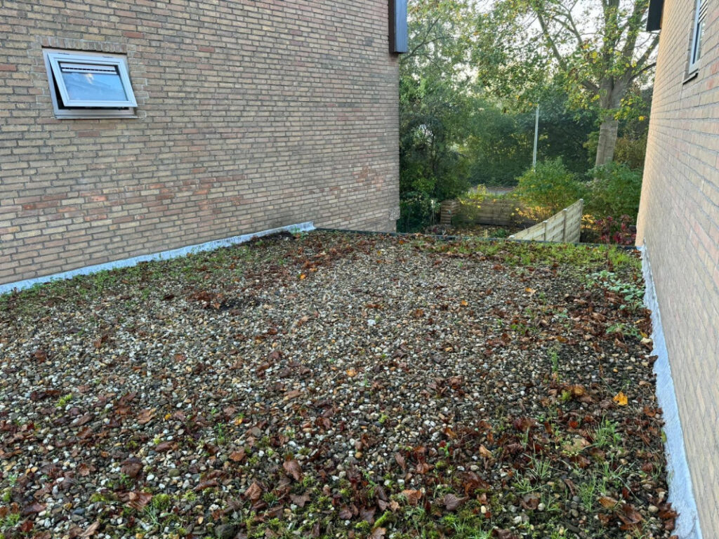 Bitumen dak in Dordrecht