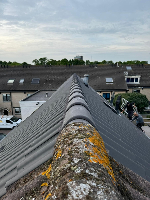 Dakpannen Dak Renovatie in Katwijk